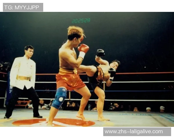 宝力高与柳海龙的巅峰对决谁将成为拳坛新王者